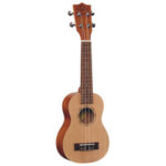 Maui Pro Tenor Ukulele with Bag